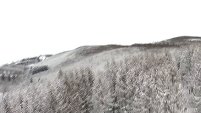 Chimera7 Snow Cruising #3 | FPV смотреть онлайн