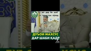 Хочи Мирзо шаби Кадр