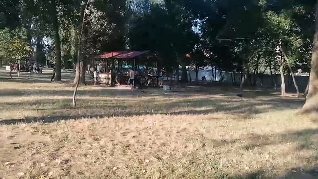 Сходка Штребуха В Краснодаре смотреть онлайн