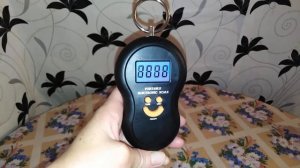 Самый крупный картофель 2020 года на нашем огороде
