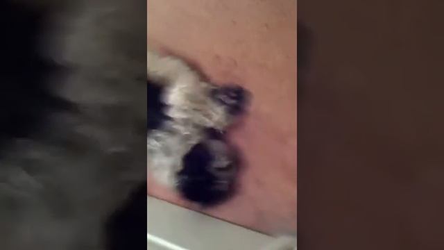 Bathophobic смотреть онлайн