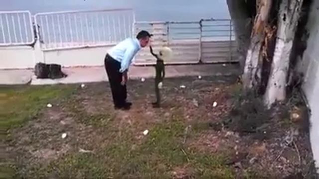 Aleisn E Naves Se Aparece Em Nova York Se Apresenta E Depois  Ataca ???