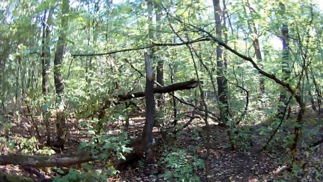 Прогулка по берегу Северского Донца.Поиск места для постройки будущего лагеря. смотреть онлайн