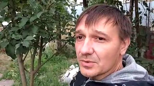 Актинидия аргута иссаи смотреть онлайн