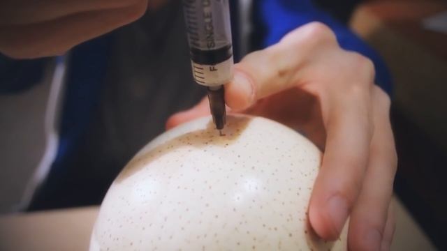 КТО СОЗДАЛ ГОМУНКУЛА? (РАЗОБЛАЧЕНИЕ ЛИЧНОСТИ КОРНЕЯ) Homunculus смотреть онлайн