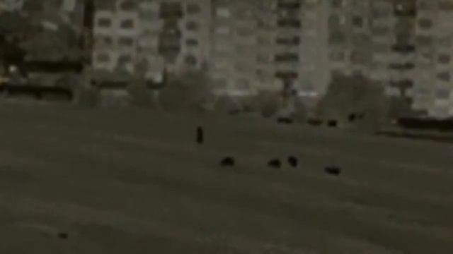 Термален бинокъл Pulsar Accolade 2 XP50 LRF и монокуляр IRAY FHR смотреть онлайн