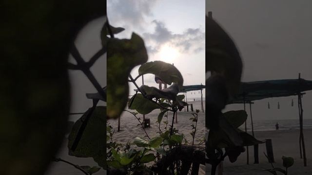 Подтягивания обратным хватом на перекладине. Бицепс. Спина. #outdoortraining смотреть онлайн