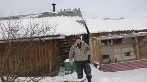 НАСЕСТЫ,СИДУШКИ для ГОЛУБЕЙ. ЧЕТЫРЕ ВАРИАНТА В МОЁМ ПИТОМНИКЕ. Удобно, практично, рационально.