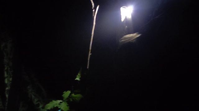 электрогитара в походе смотреть онлайн