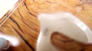 Муравьи полностью переселились в новый Формикарий! alex boyko