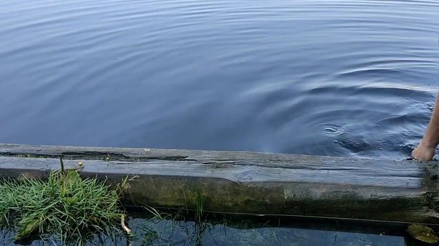 КАРПФИШИНГ. ЛОВЛЯ КРУПНОГО КАРПА. ВЫЕЗД НА КАРПОВЫЙ ВОДОЕМ. ДЕНЬ 3 смотреть онлайн