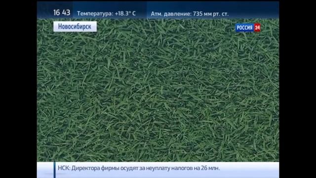 Новое кварц-виниловое напольное покрытие Decoria смотреть онлайн