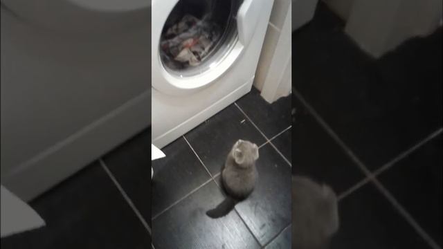 стиралка ч2 смотреть онлайн