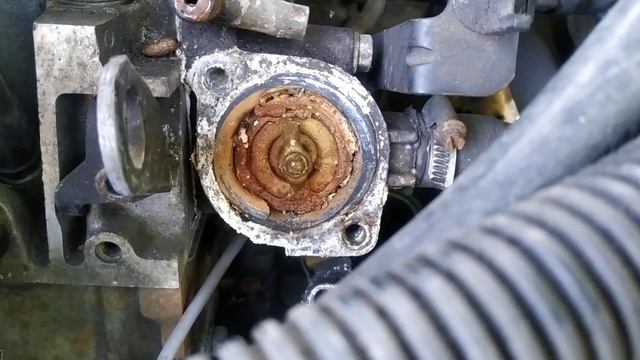 Я не мог даже подумать!Давит антифриз из пробки.Термостат в Пежо 405 2.0 SRI. смотреть онлайн