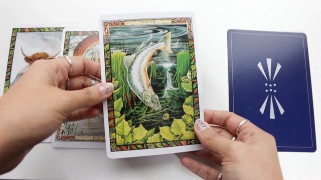Your Oracle for November 2020! | Pick a Card! ✨ смотреть онлайн