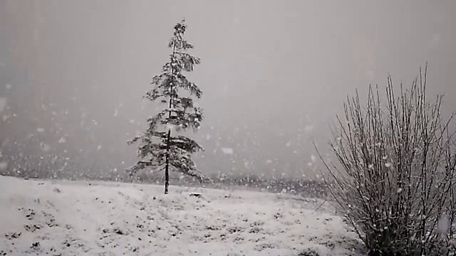Снег большими хлопьями, красота! смотреть онлайн