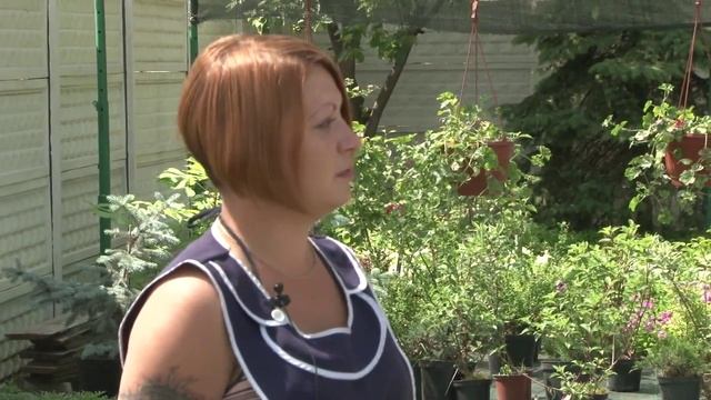 Сезон У Дачи 13 06 13 смотреть онлайн