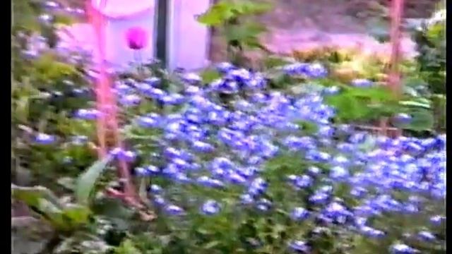 Camcorder ITT WMC-3875 AF VHS-C смотреть онлайн