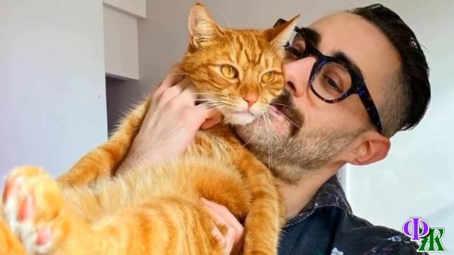 - Кошка должна знать свое место! - злобно фыркнула Лариса, увидев, что кошка сидит на столе, но… смотреть онлайн