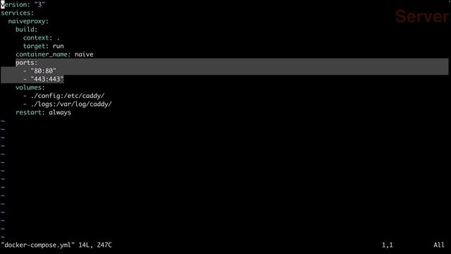 NaiveProxy 通过docker部署 | 使用docker Compose一键部署NaiveProxy，适合小白用户