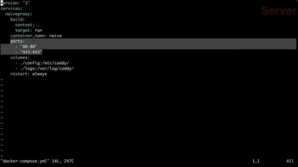 NaiveProxy 通过docker部署 | 使用docker compose一键部署NaiveProxy，适合小白用户