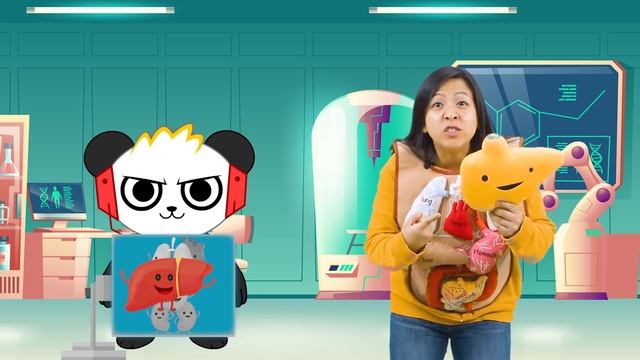 Learn about Parts of your body for kids | Educational Video Ryan's World смотреть онлайн