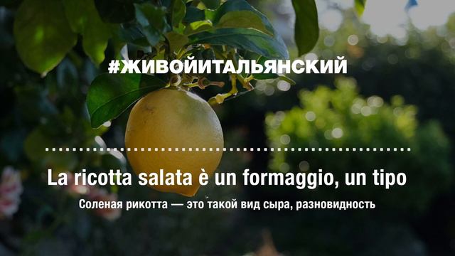 🌞 #живойитальянский (Эпизод 11: Eduardo) смотреть онлайн