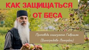 Защита от блудного беса. Схиигумен Гавриил