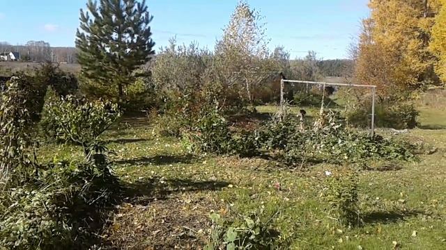 ❤ОКТЯБРЬ.❤КРАСОТИЩА ДРУГИХ СЛОВ НЕТ❤СОЛНЕЧНЫЕ ДНИ❤ смотреть онлайн