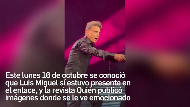 ASÍ FUE EL REENCUENTRO DE LUIS MIGUEL Y STEPHANIE SALAS EN LA BODA DE SU HIJA MICHELLE SALAS смотреть онлайн