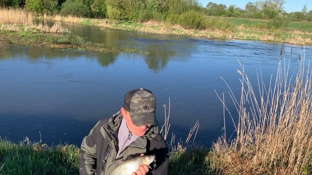 КАК ПОЙМАТЬ ГОЛАВЛЯ. ГОЛАВЛЬ В МАЕ. смотреть онлайн