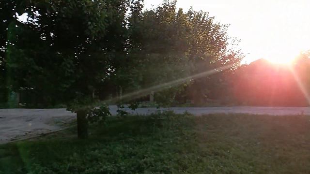 Геническ утро знакомство с нашими меньшими братьями смотреть онлайн