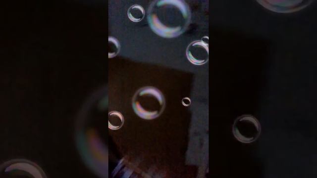 Хайп с петомцем мини длинношерстная чихуа хуа , волнистый попугайчик и рыбы гуппи смотреть онлайн