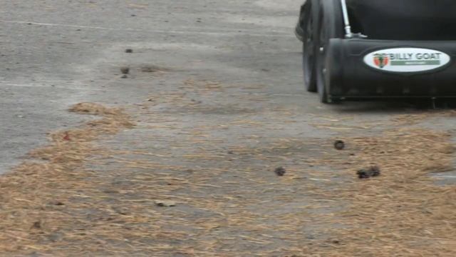 Billy Goat MV.mp4 смотреть онлайн