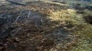 конный и мотоблочный плуги.