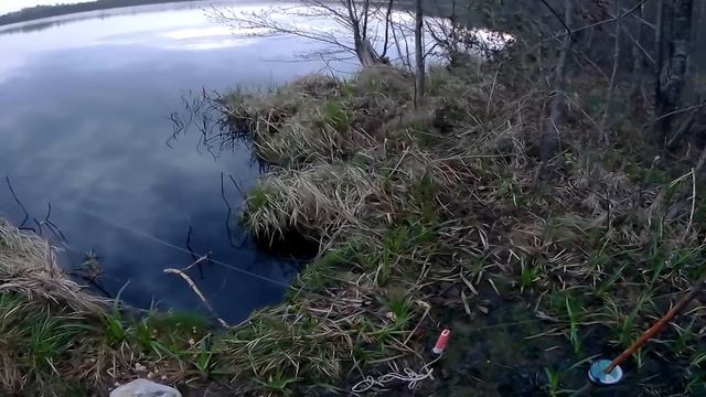 Захватывающая рыбалка