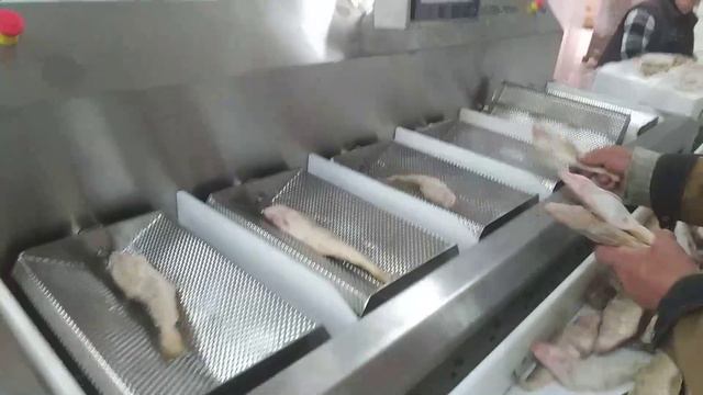 Точный вес замороженная рыба упаковка в готовый пакет смотреть онлайн