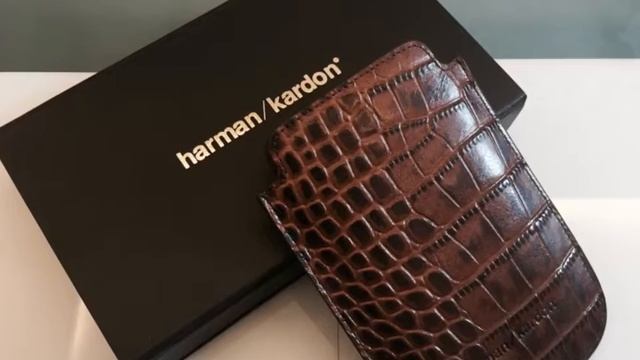 Leather cases for Harman kardon Esquire mini смотреть онлайн