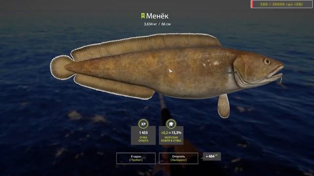 Русская Рыбалка 4 Норвежское Море Тур на 5 Дней Розбор Снастей смотреть онлайн