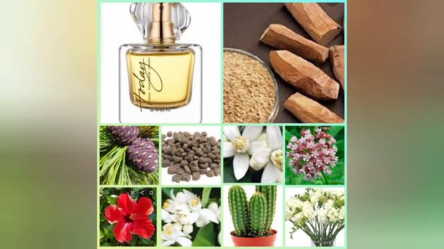 МОЙ ЗАКАЗ AVON N 153 смотреть онлайн
