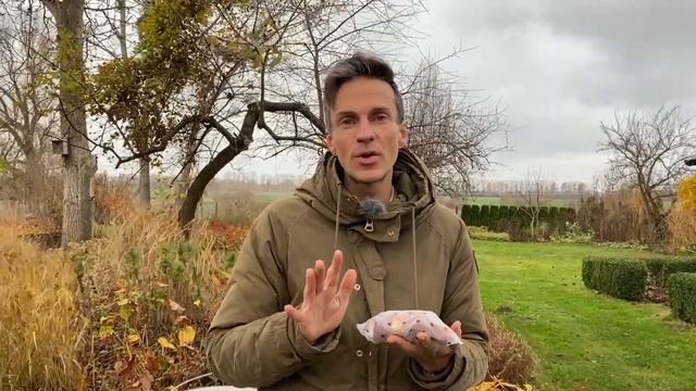 Planting Spring bulbs. Planting my favorite tulips & fritillaria persica. Baltic Gardening смотреть онлайн