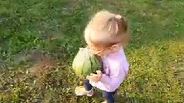 Вырастить арбузы в Беларуси легко. Жизнь в деревне смотреть онлайн