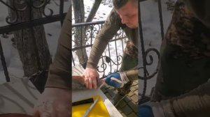 Разделка белуги