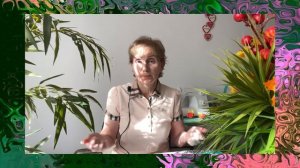 ? ОТКРЫТИЕ ГОДА ? и что то ещё…. от Розанна Адам