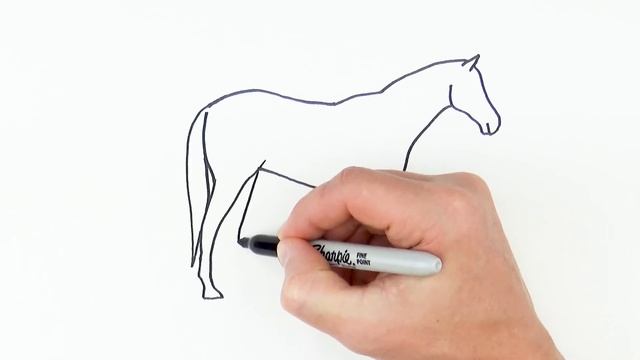 How to Draw a Horse Easy Step by Step Drawing смотреть онлайн