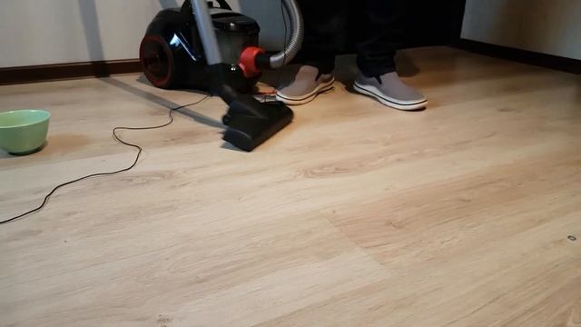 Пылесос Bosch с контейнером для пыли (Пылесос Бош) смотреть онлайн