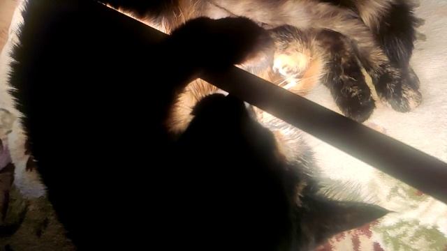 Поставка качественных светодиодных лент(доказательство на видео с замедлением нет мерцаний и полос) смотреть онлайн
