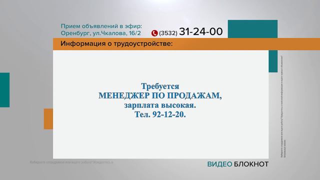 Видеоблокнот 01.02.24 смотреть онлайн