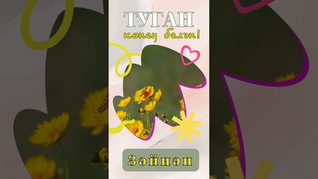 Зәйнәп, туган көнең белән! смотреть онлайн
