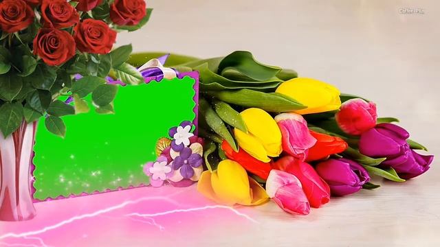 ФУТАЖ НА ЗЕЛЕНОМ ЭКРАНЕ (ХРОМАКЕЙ ) ДЛЯ МОНТАЖА ВИДЕО / FOOTAGE GREEN SCREEN